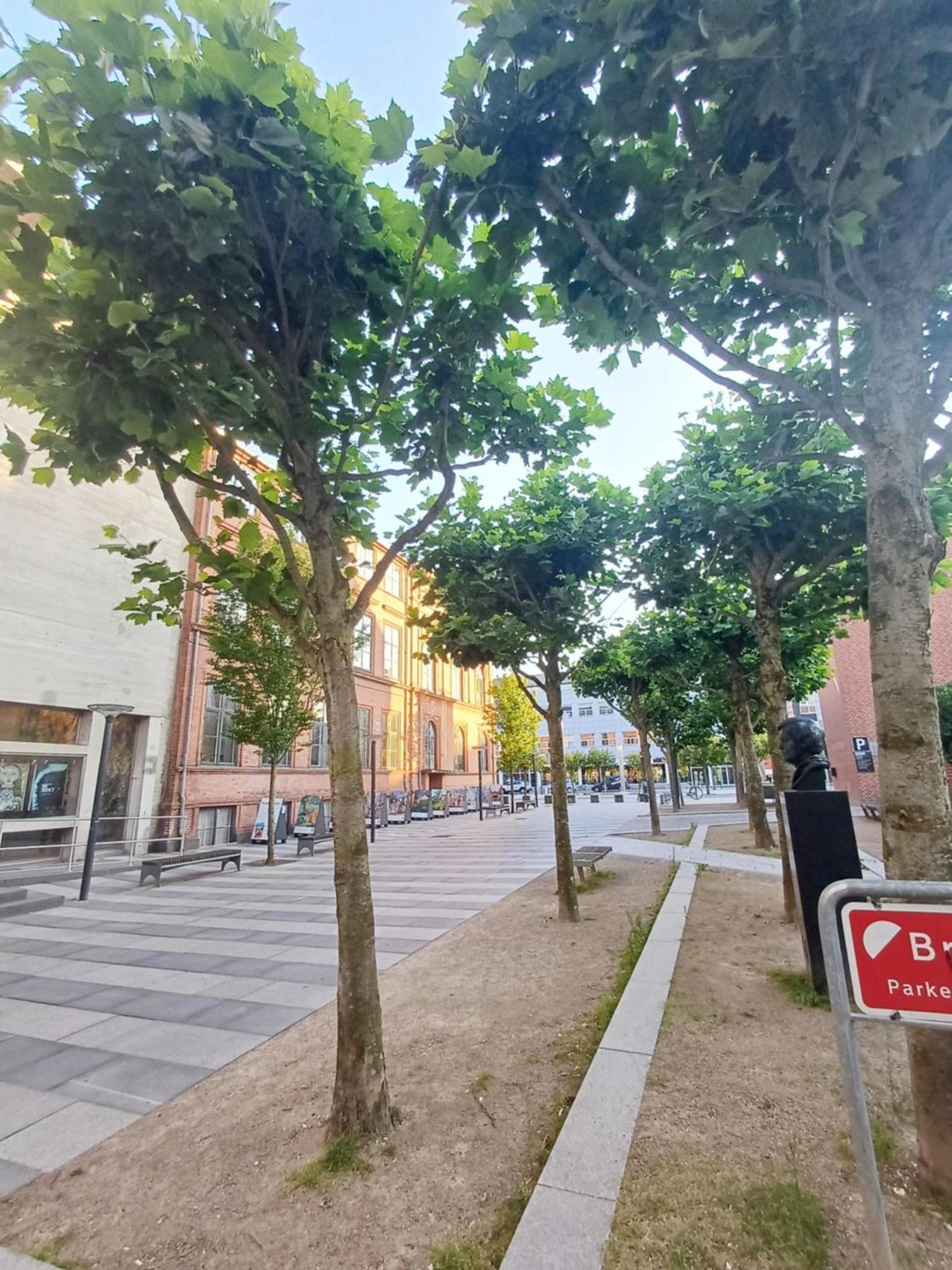 Large Double Room In The Center Of City 兰德斯 外观 照片